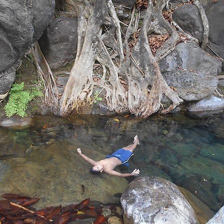 White Water Woods Resort ビサーリー エクステリア 写真